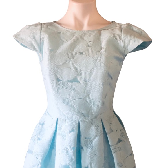 Ted Baker Baby Blue Laureto Fit & Flare Lace Dress Pleated Skirt Net Cut Outs - Picture 5 of 16